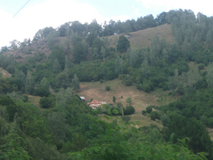 DSCF8403 - PLIMBARE PE TRANSALPINA