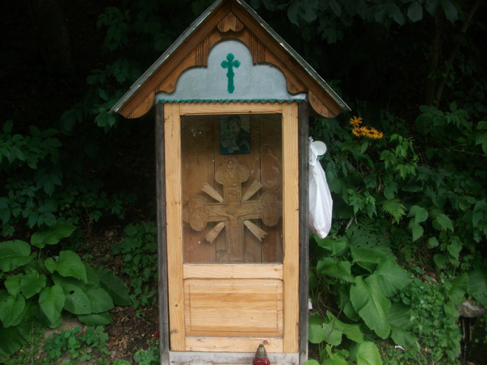 DSCF8413 - PLIMBARE PE TRANSALPINA