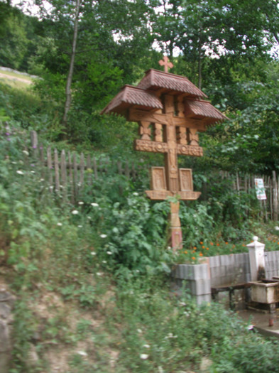 DSCF8430 - PLIMBARE PE TRANSALPINA