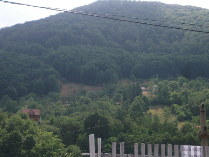 DSCF8434 - PLIMBARE PE TRANSALPINA