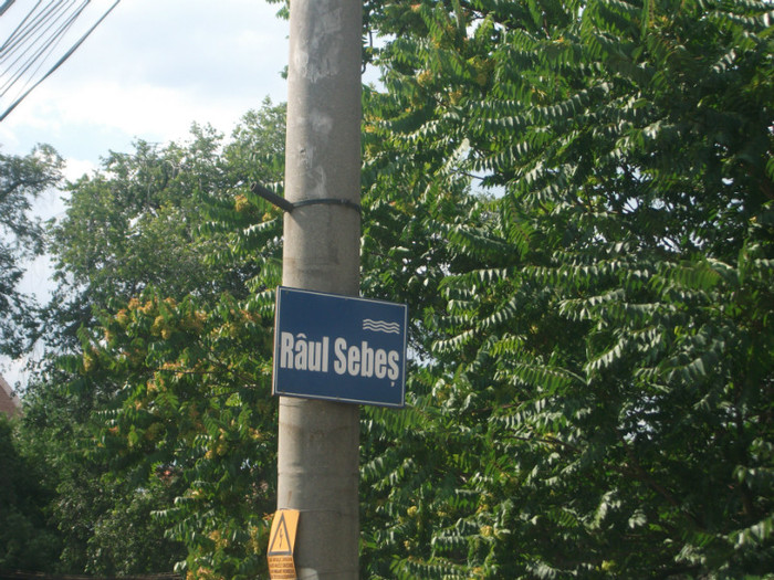 DSCF8438 - PLIMBARE PE TRANSALPINA