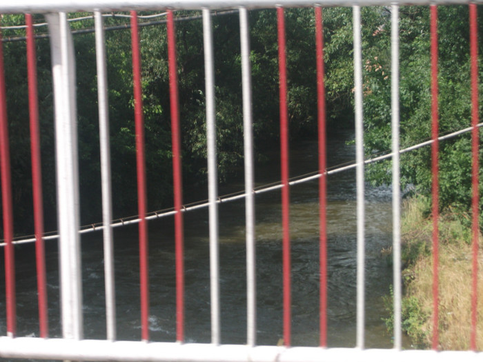 DSCF8439 - PLIMBARE PE TRANSALPINA