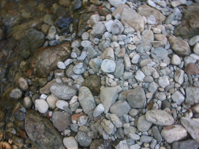DSCF8653 - iesire pe Valea Sohodolului