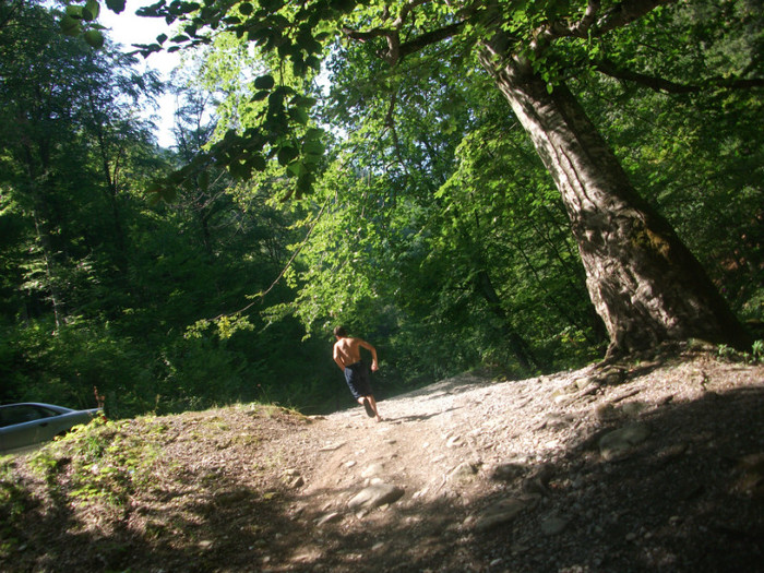 DSCF8654 - iesire pe Valea Sohodolului