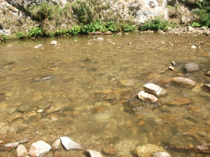DSCF8656 - iesire pe Valea Sohodolului