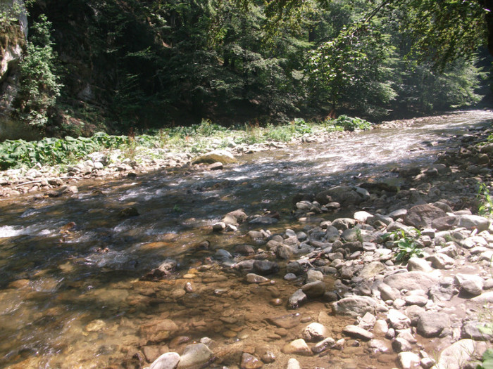 DSCF8657 - iesire pe Valea Sohodolului