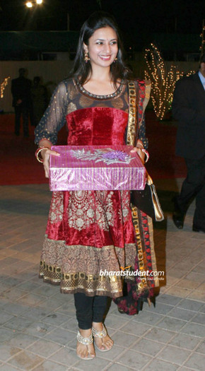 vikas-kalantri-s-wedding-reception_005