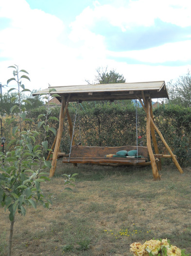 038 - de prin jurul casei