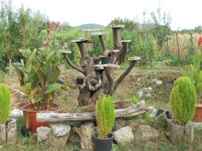 096 - de prin jurul casei