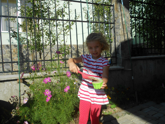 Diana, verisoara lui Andrei