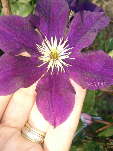 Photo0538
