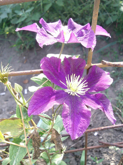 Photo0543
