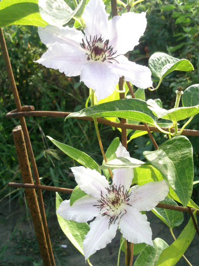 Photo0544