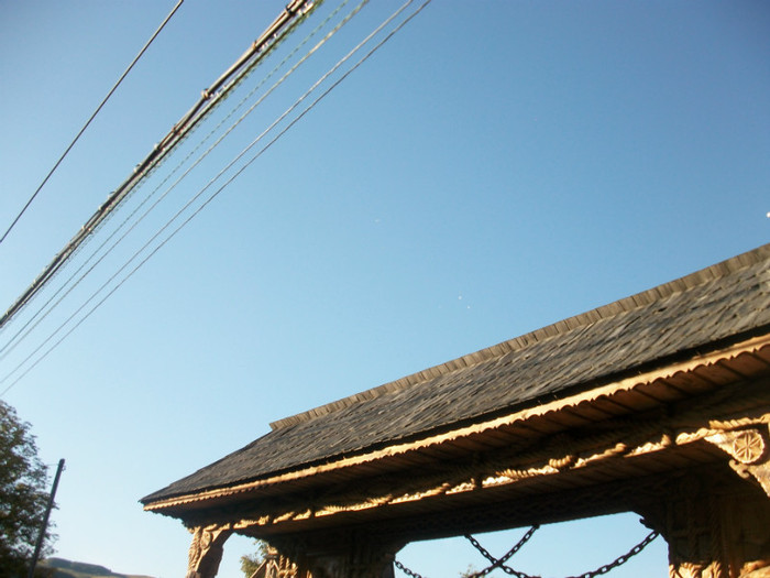 ALIM9047 - LANSARI PORUMBEI ALBI NUNTI SIGHETU MARMATIEI 2012