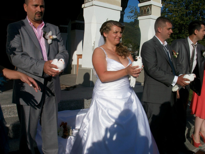 ALIM9042 - LANSARI PORUMBEI ALBI NUNTI SIGHETU MARMATIEI 2012