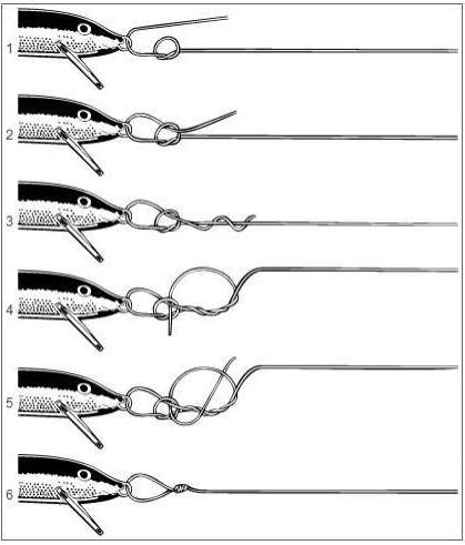 Nodul RAPALA