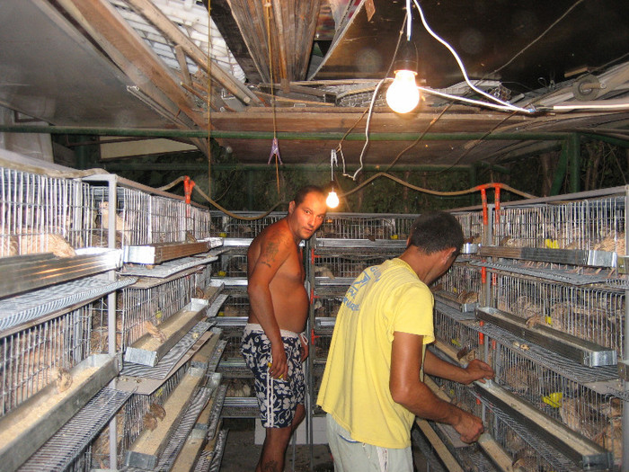 Pasari August 2012 007