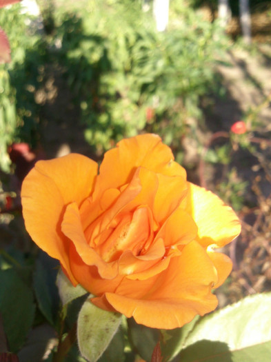Photo0570