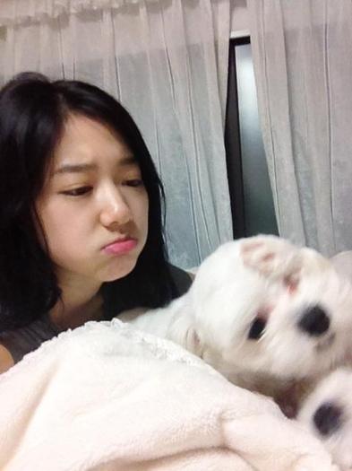 park_shin_hye_with_dog_120317 - For xXILoveSouthKoreaxX