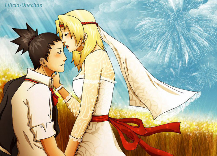 ___once_i__ve_had_the_best____by_lilicia_onechan-d4jvks8 - shikamaru x temari