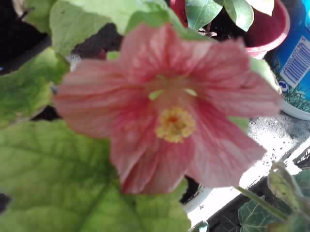 P200812_10.57
