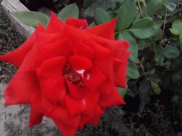 P160812_09.50_[02]