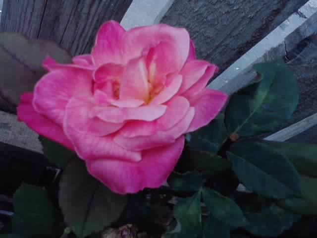 P160812_09.52_[01]