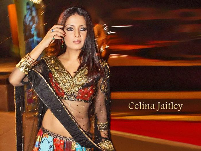 Celina_Jaitley_502_1262312794