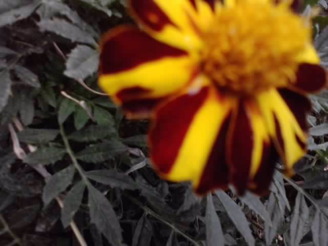 P130812_12.40