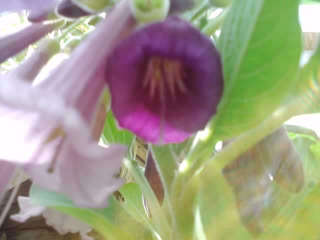 P150812_10.50_[02]
