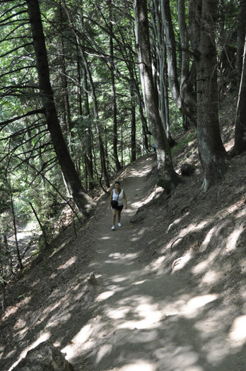 _DSC4575 - Dambu Morii