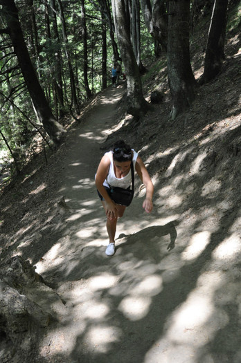 _DSC4580 - Dambu Morii