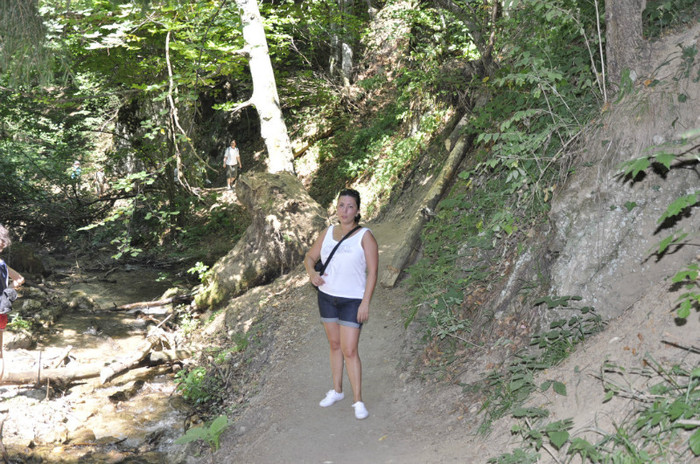 _DSC4581 - Dambu Morii