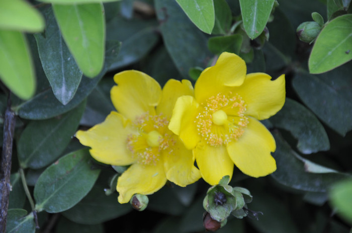 _DSC5025 - Milano 2012