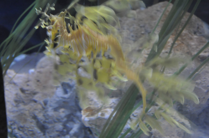 _DSC5363 - Gardaland 2012