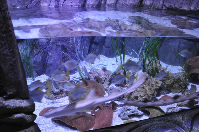 _DSC5377 - Gardaland 2012