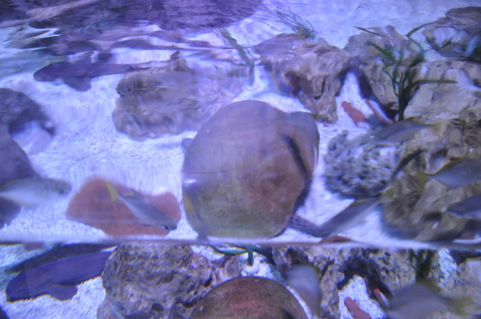 _DSC5379 - Gardaland 2012