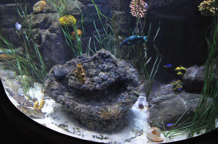 _DSC5380 - Gardaland 2012