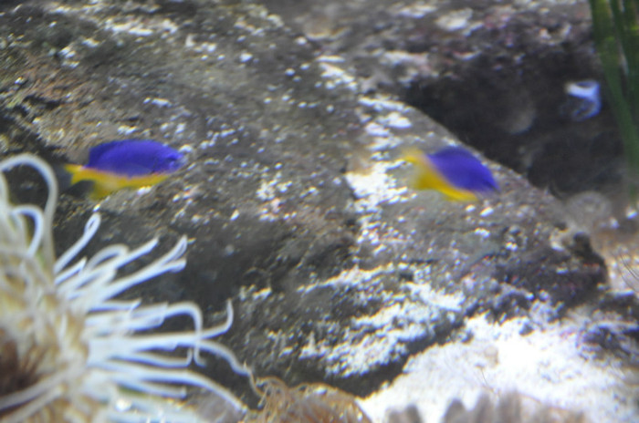 _DSC5388 - Gardaland 2012