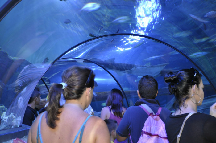 _DSC5419 - Gardaland 2012