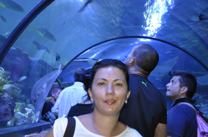 _DSC5420 - Gardaland 2012