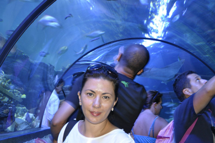 _DSC5421 - Gardaland 2012