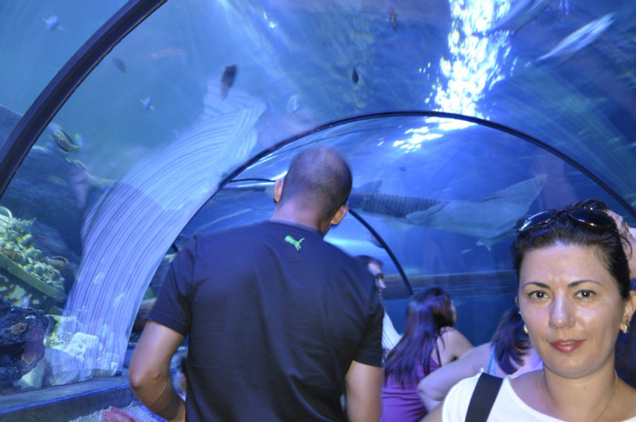 _DSC5422 - Gardaland 2012