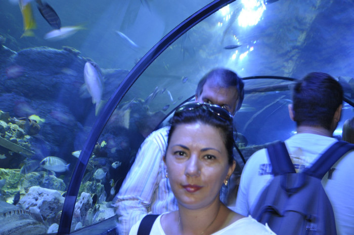 _DSC5423 - Gardaland 2012