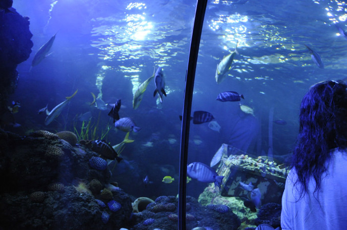 _DSC5433 - Gardaland 2012