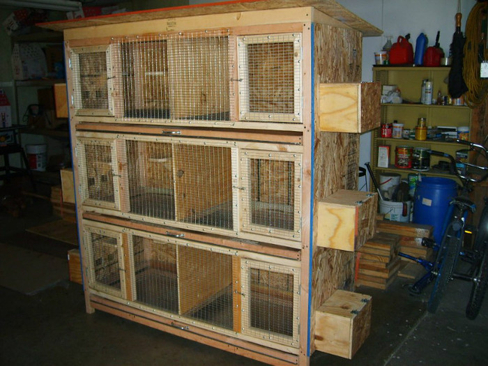 264895_469189629771567_1986962516_n