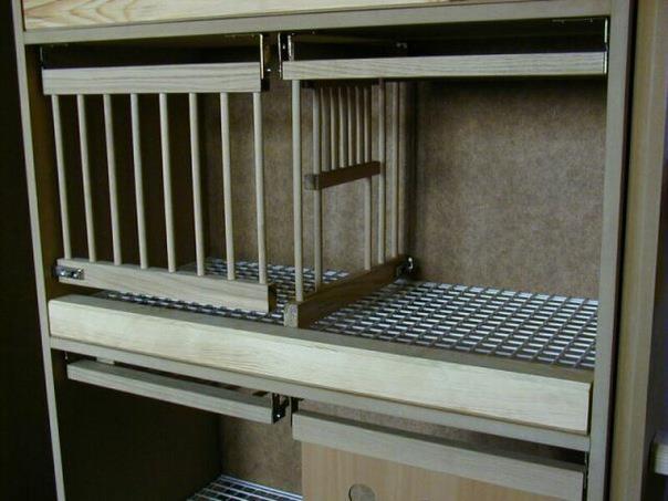 382578_357749490906568_1979503749_n