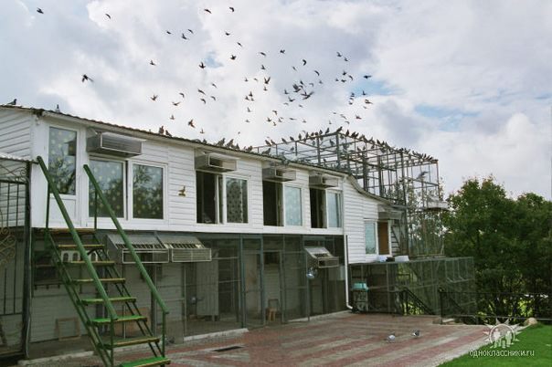 387177_357749657573218_471539695_n