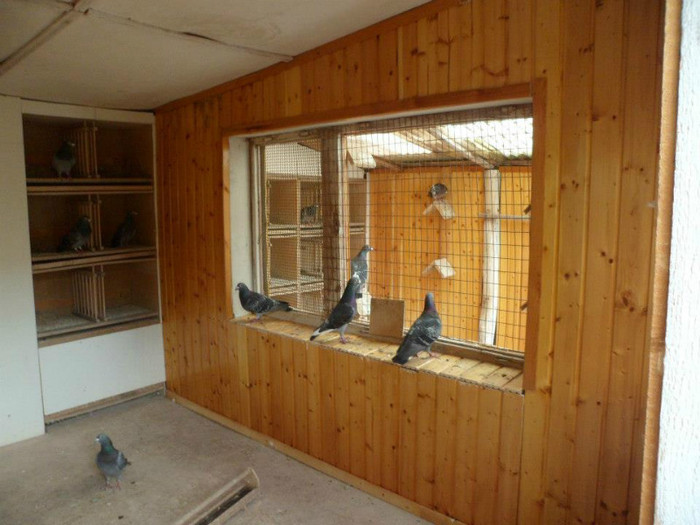 387982_375532205852166_2012761261_n