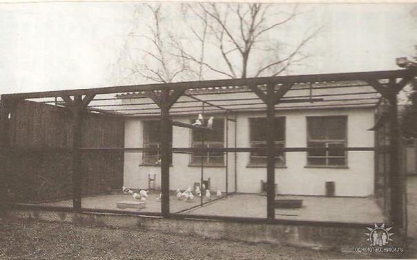 393450_357749627573221_1265179577_n